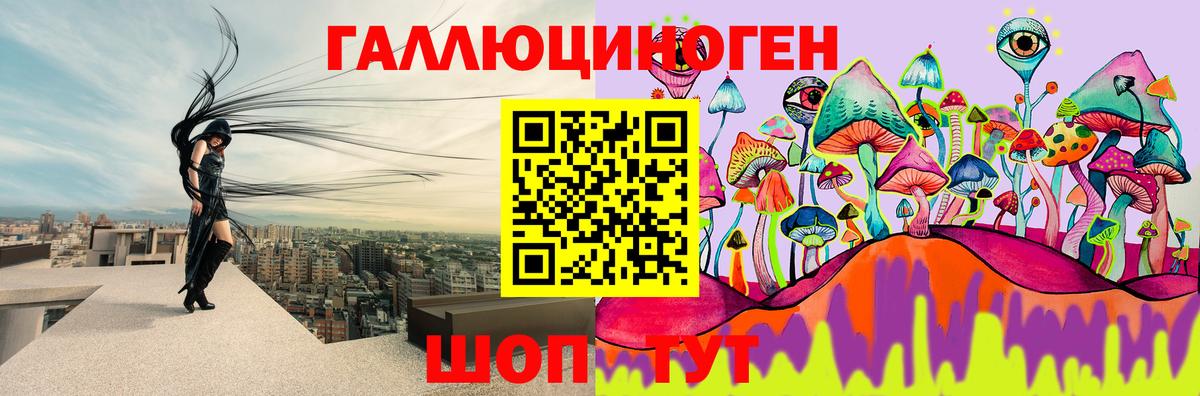 Галлюциногенные грибы Magic Shrooms Черкесск